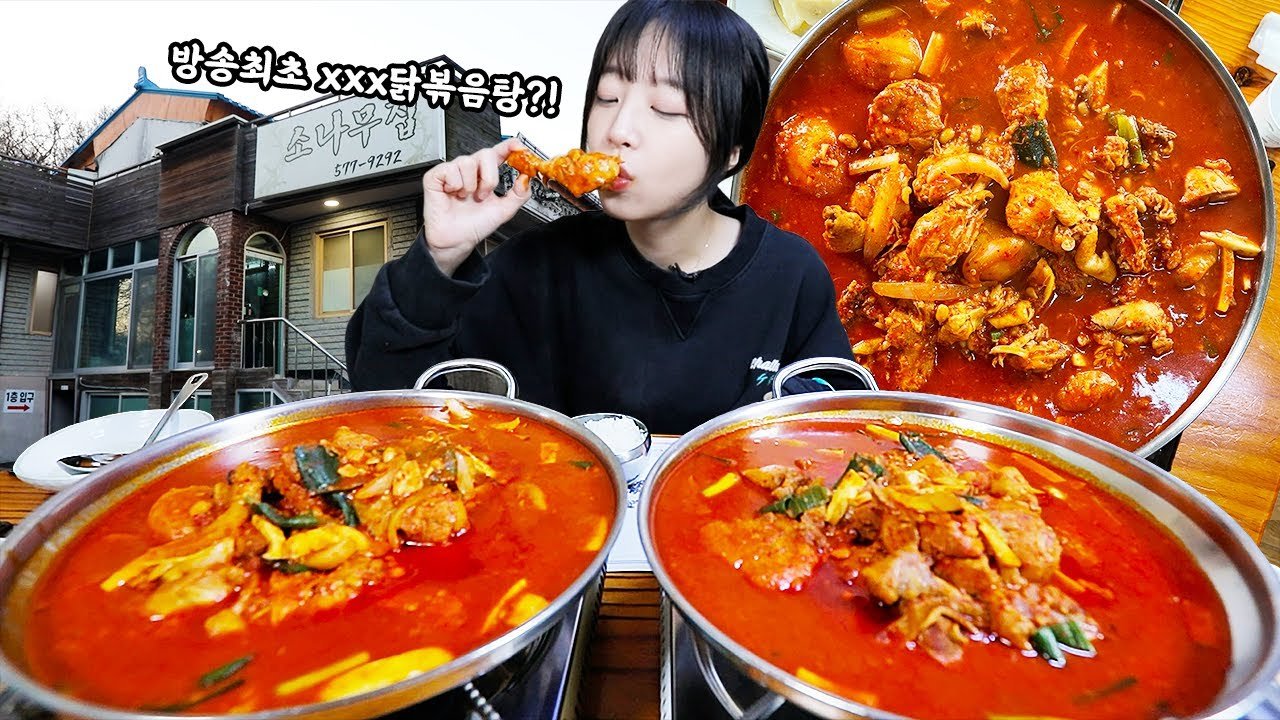 이수의 마늘닭볶음탕