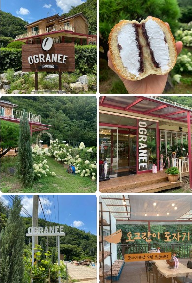 영월 맛집