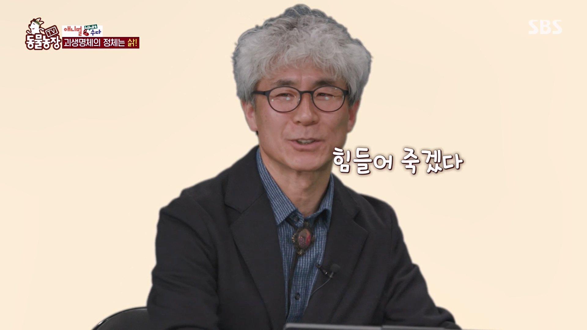 TV 동물농장.E1164.240324p-NEXT.mp4_20240324_170516.059.jpg