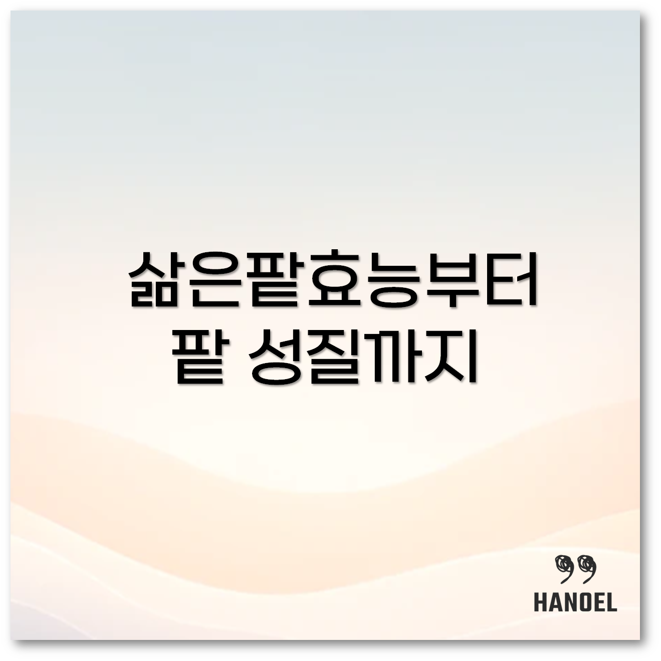 팥효능