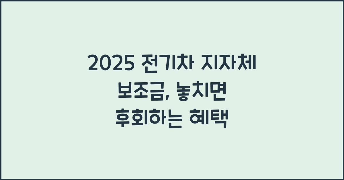 2025 전기차 지자체 보조금