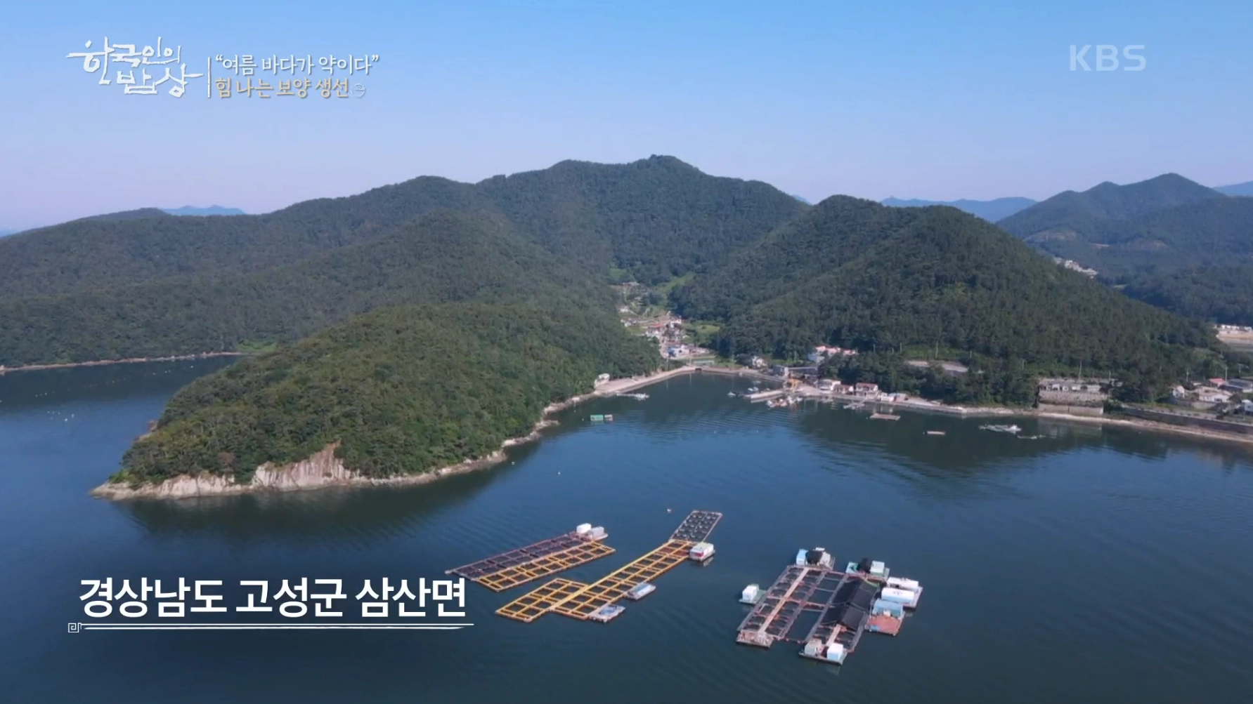 군령포 하모자연산횟집 사진 4