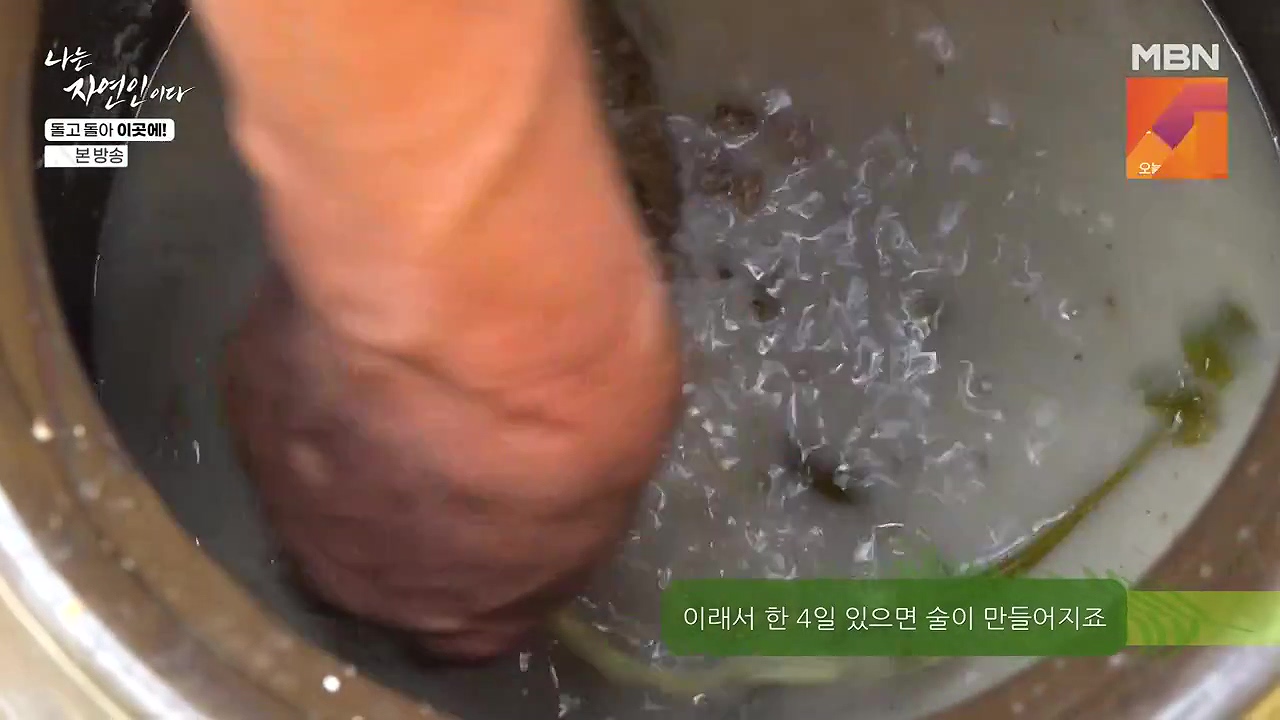 나는 자연인이다.E614.240718p-NEXT.mp4_20240718_193858.808.jpg