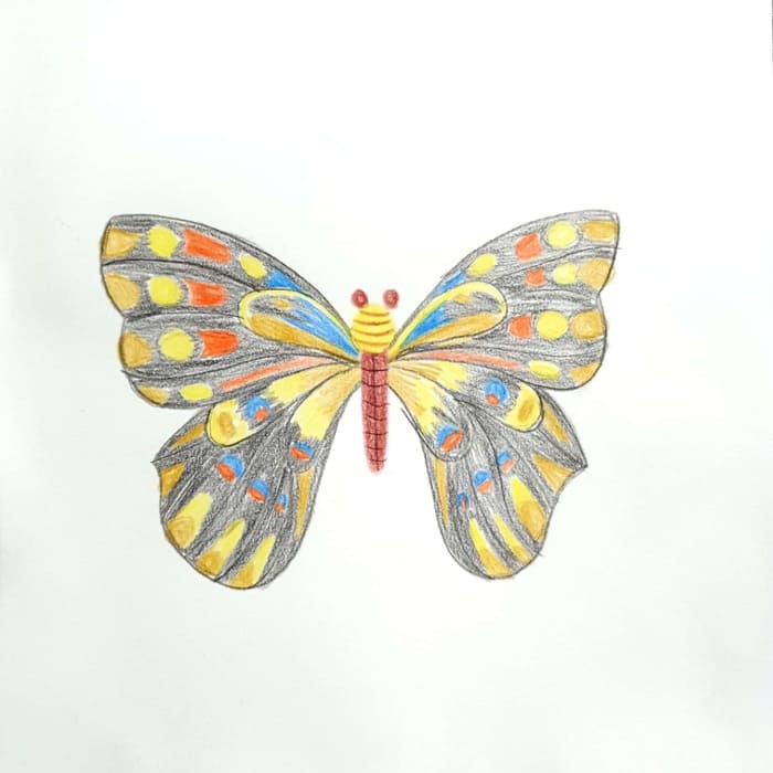  검정 나비 Black Butterfly 일러스트 그림 드로잉 2020 비행
