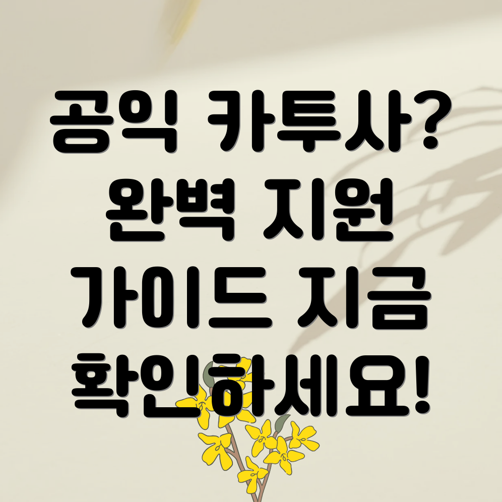 공익 카투사