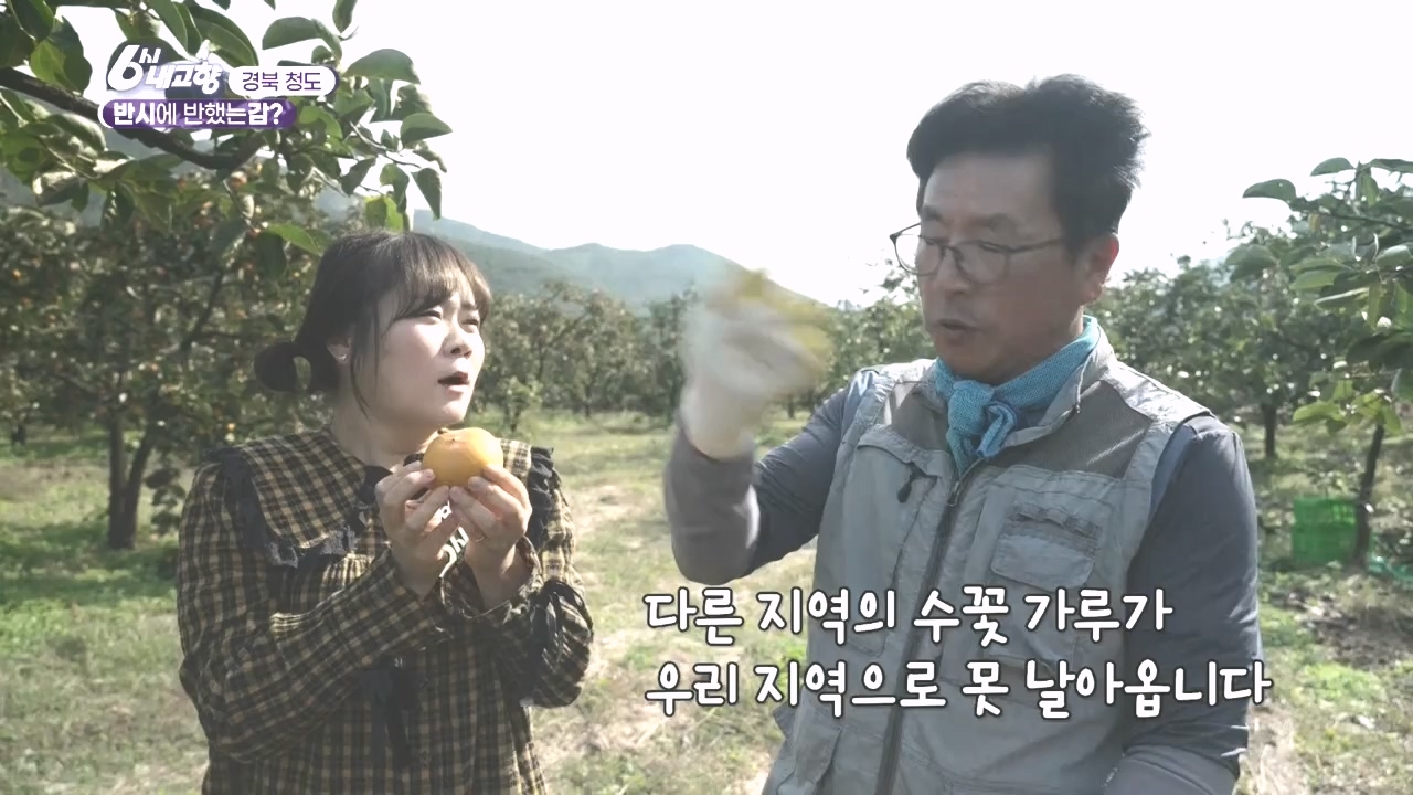 6시 내고향.E7896.231024p.H264-F1RST.mp4_20231024_204847.606.jpg