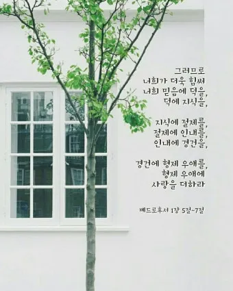 베드로후서 3장 9절 묵상 - 주의 약속은 어떤 이들이 더디다고 생각하는 것 같이 더딘 것이 아니라_15
