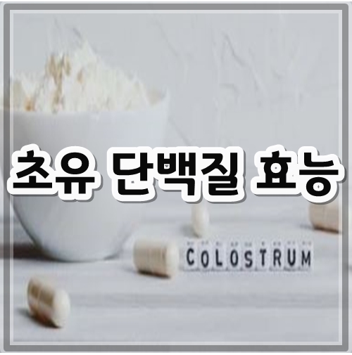 초유단백질