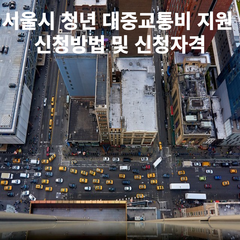  서울시 청년 대중교통비 지원 신청방법 및 신청자격