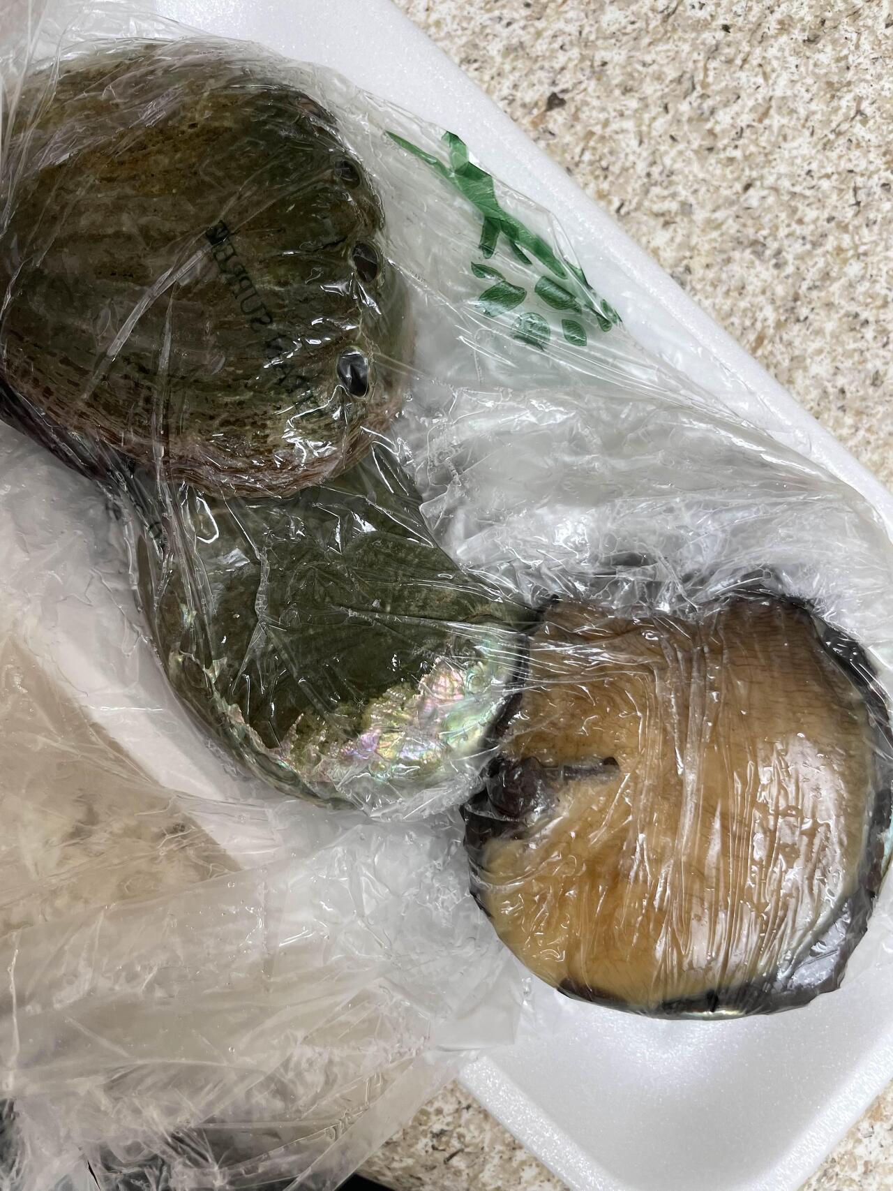 전복내장죽