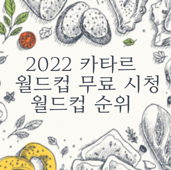  2022 카타르 월드컵 전경기 무료 시청 바로가기 월드컵 예선 본선 순위 정리
