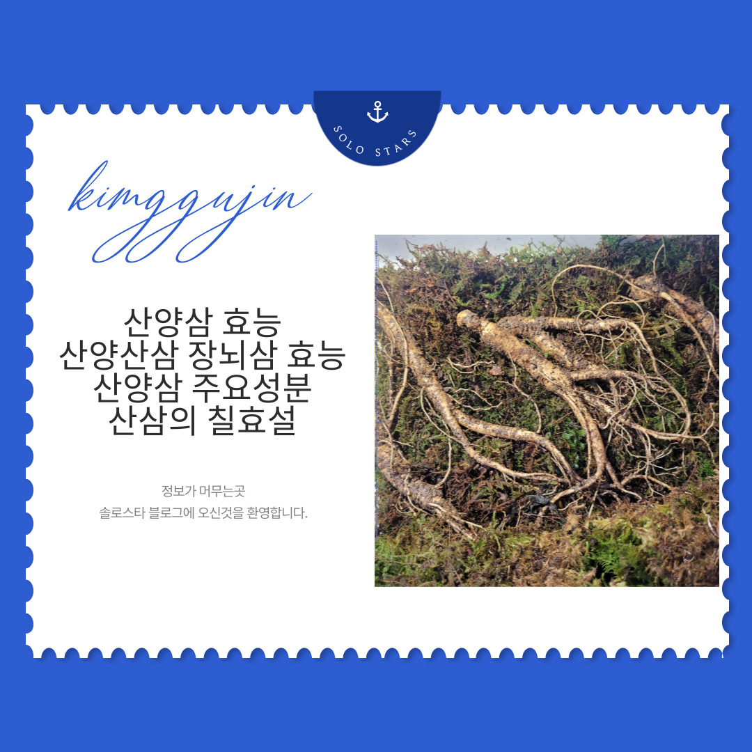 산양삼 사진