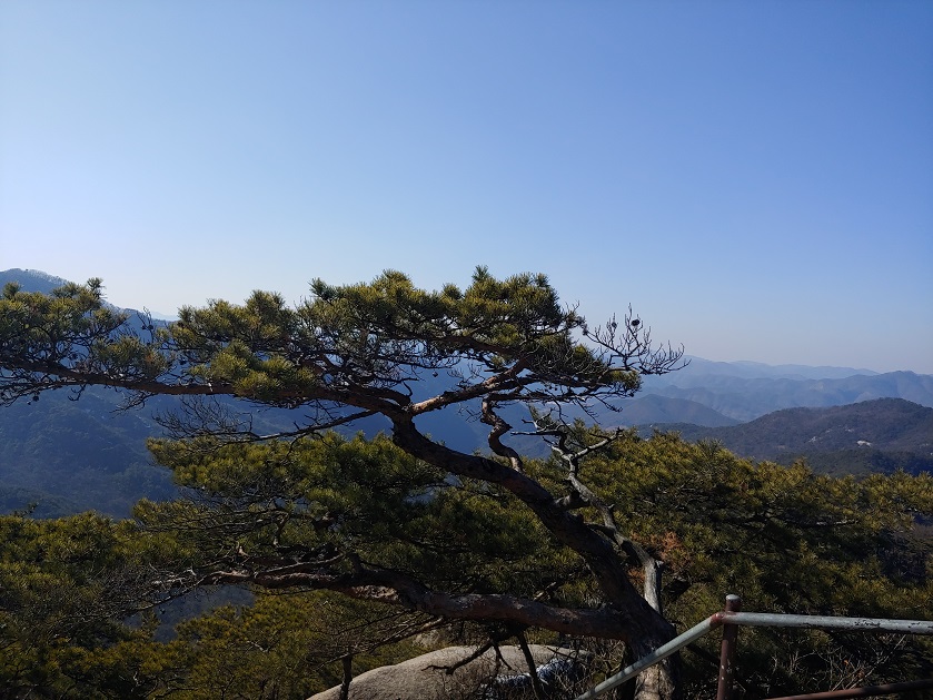 하느로가-산과-소나무