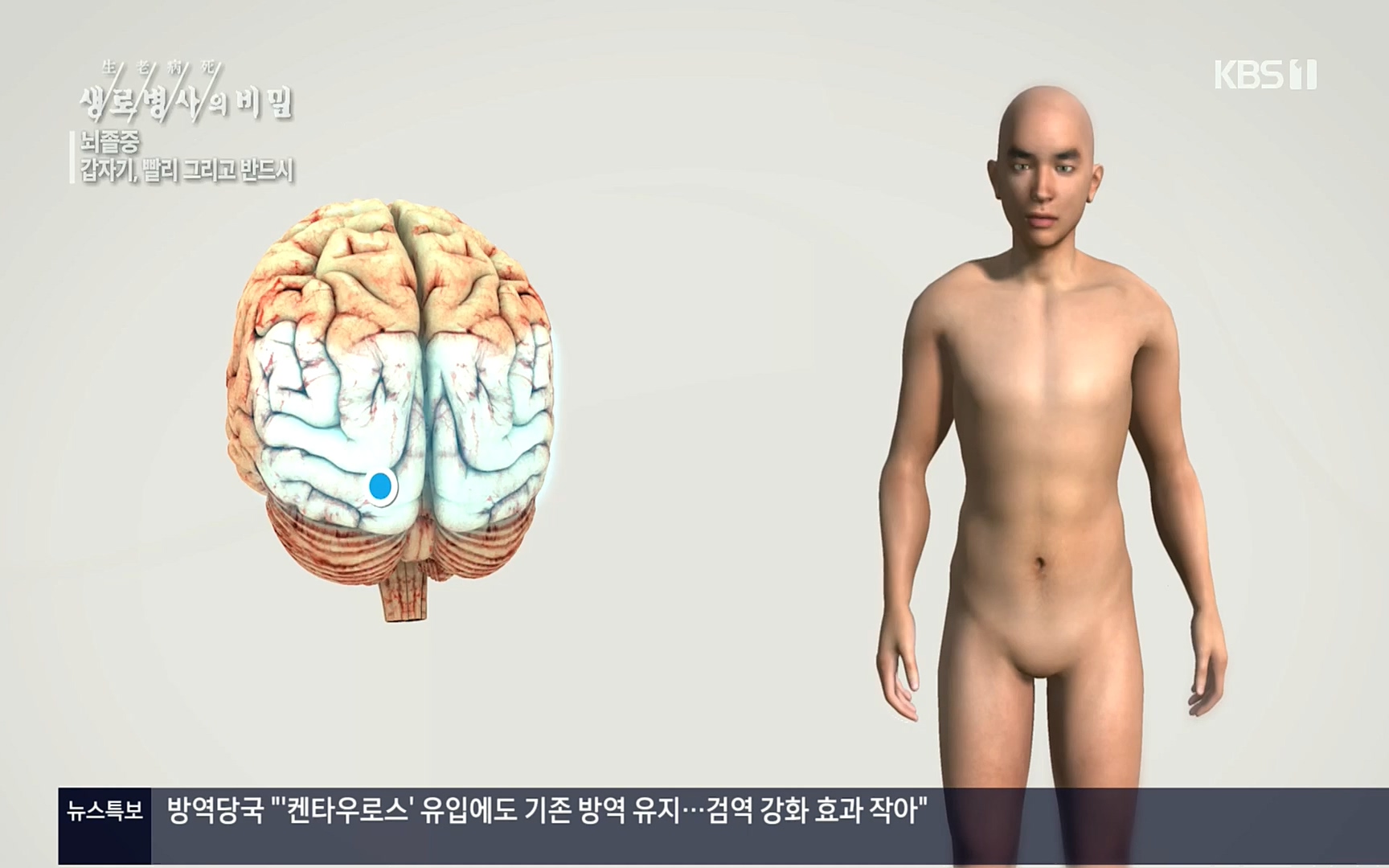 생로병사의 비밀.E835p.H264-F1RST.mp4_20220917_181736.418.jpg