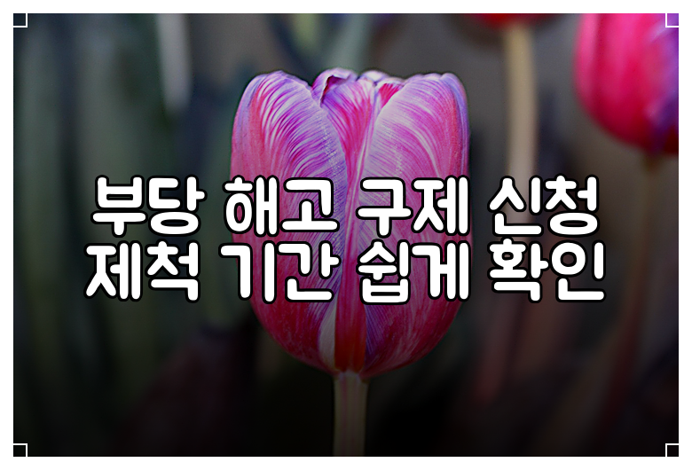 부당 해고 구제 신청 제척 기간 쉽게 확인