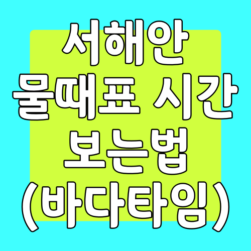  서해안 물때표 시간 보는 방법