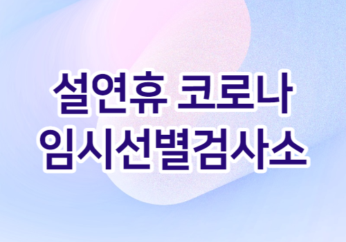 설연휴 경기도 코로나 임시선별검사소