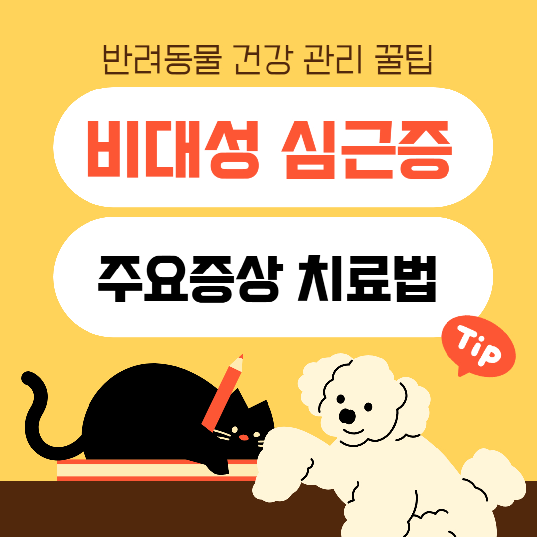 고양이 비대성 심근증, 주요 증상, 치료법, 그리고 관리 방법