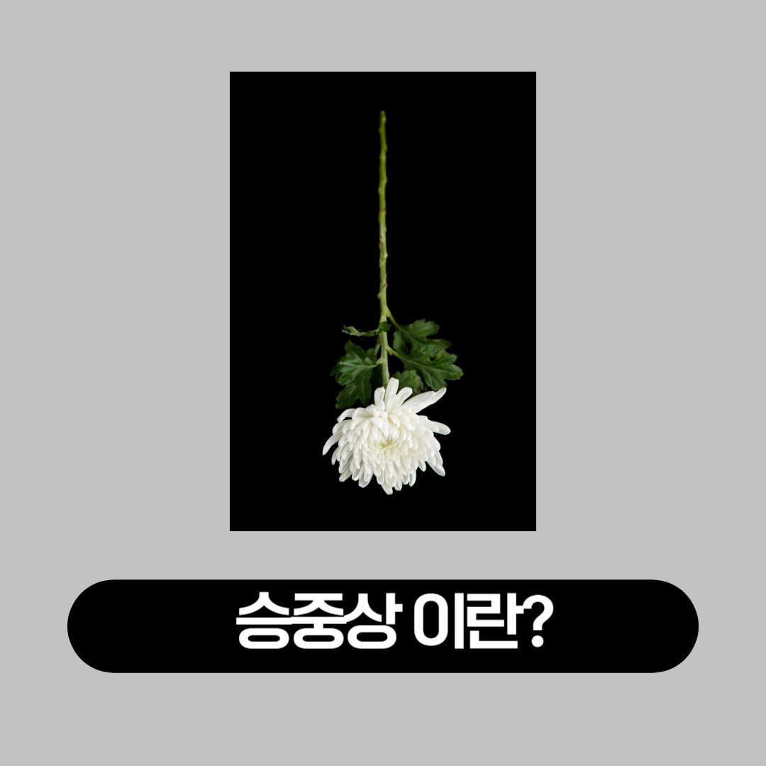 승중상_이란