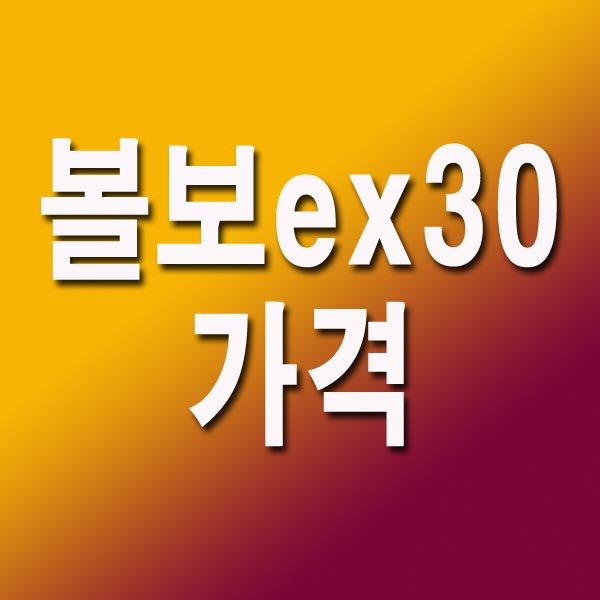  볼보 ex30 가격 제원