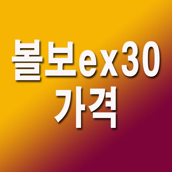 볼보 ex30 가격