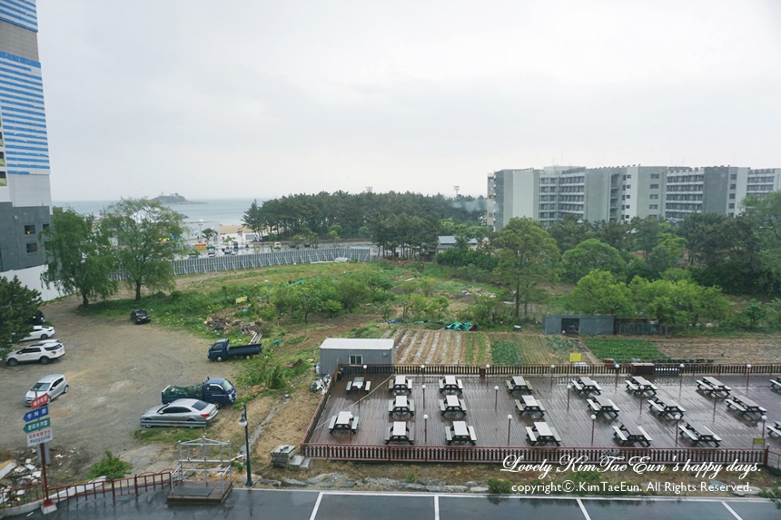 속초 팜파스리조트 강원도 숙소 추천 20