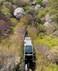 화담숲 예약방법