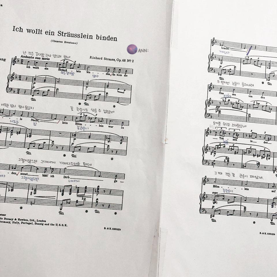  슈트라우스 가곡: 6 Lieder - Ich wollt ein strausslein binden