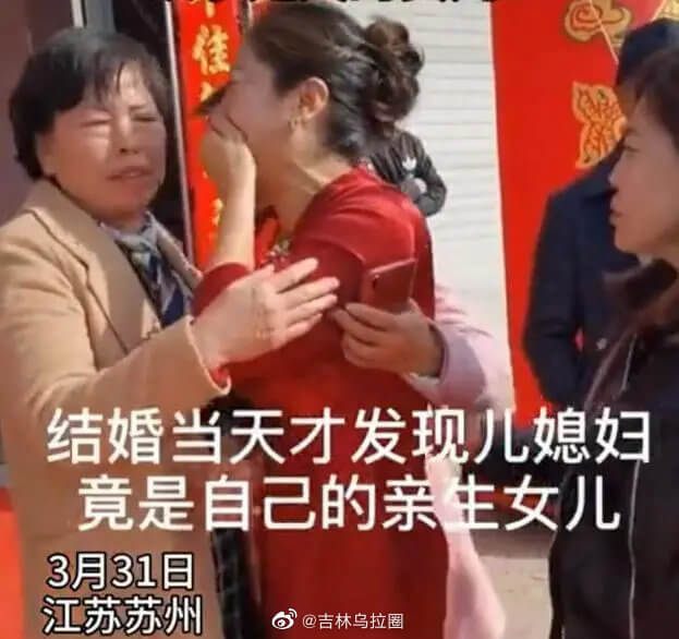 바다며느리 이미지