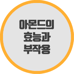  아몬드의 효능과 부작용 건강에 도움이 되는 작은 견과류