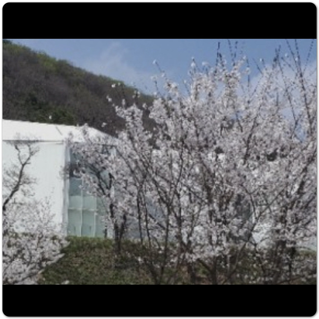 경기도 장흥 가볼만한 곳 베스트 10 24
