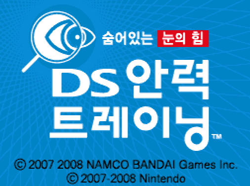 닌텐도 DS 정발판