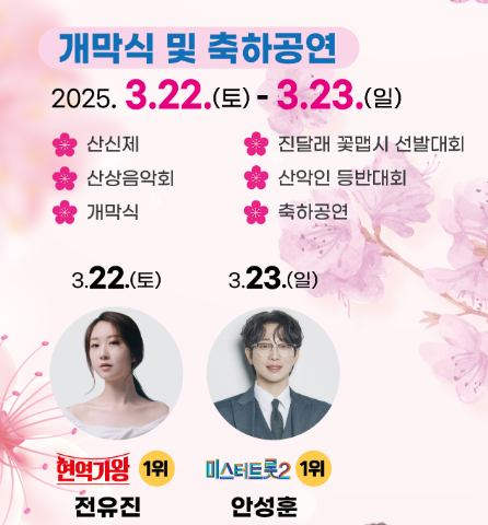 축제