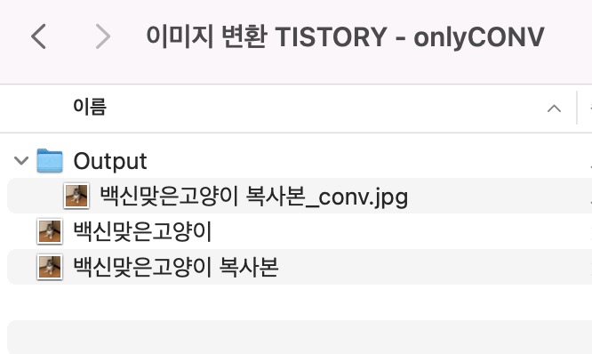 이미지-변환-예시-결과