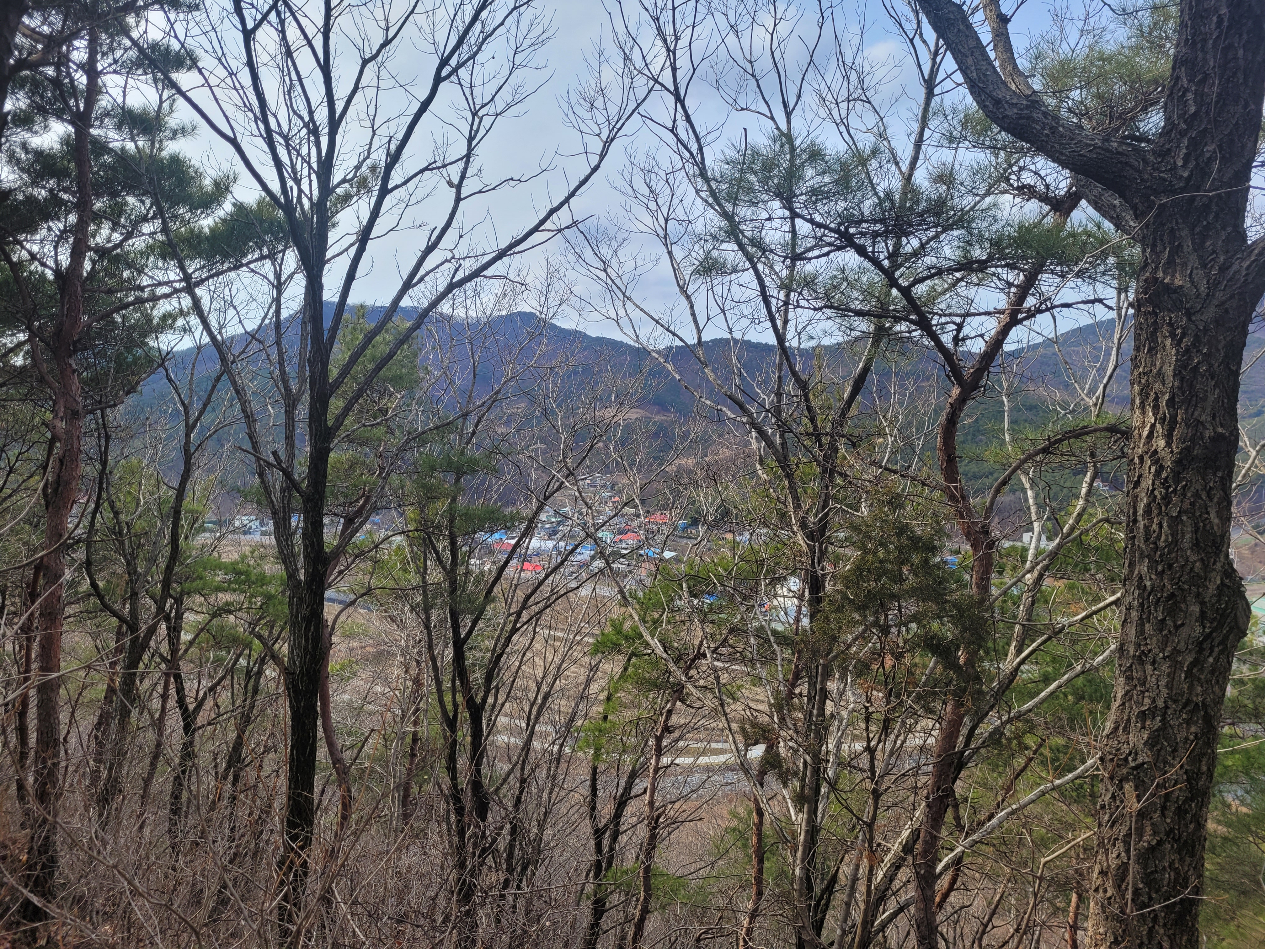 말미산정상 이미지