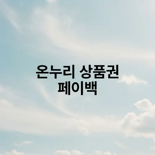 온누리 상품권 페이백