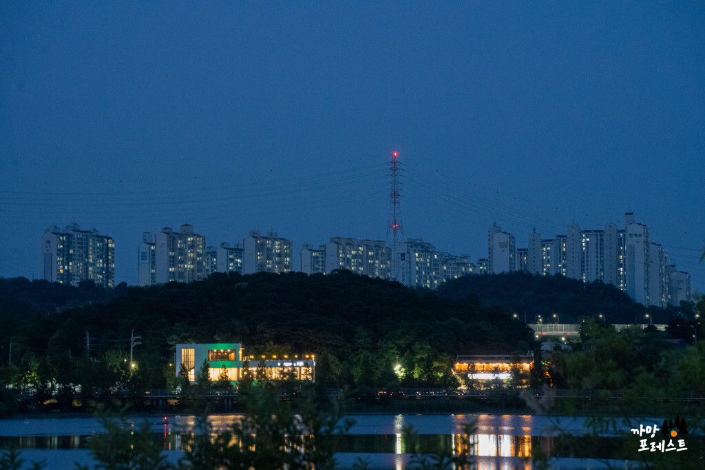 왕송호수 공원 도시 야경