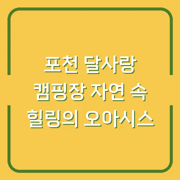 포천 달사랑 캠핑장 자연 속 힐링의 오아시스