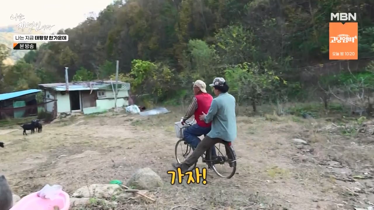 나는 자연인이다.E581.231123p-NEXT.mp4_20231123_200719.320.jpg