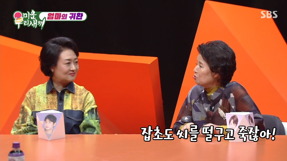 잡초도 씨를 떨구고 죽잖아 토니엄마 명언