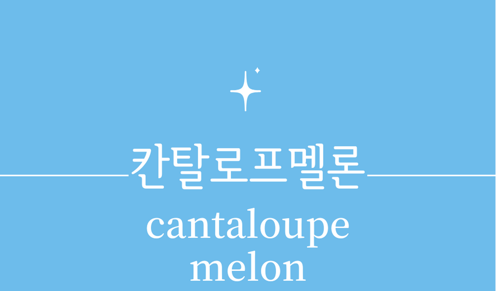&#39;칸탈로프멜론(cantaloupe melon)&#39;
