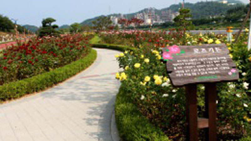 삼척장미공원