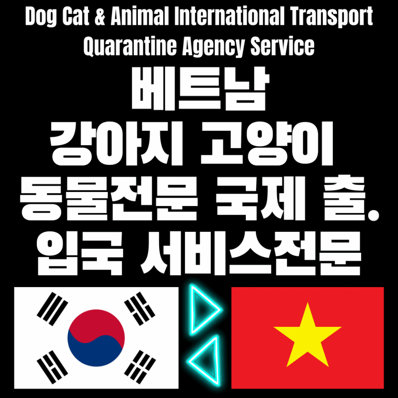  강아지베트남호치민운송 고양이베트남호치민운송 강아지베트남운송 고양이베트남운송 강아지동반출국 고양이동반출국 강아지베트남검역 고양이베트남검역 반려동물해외운송 반려동물베..