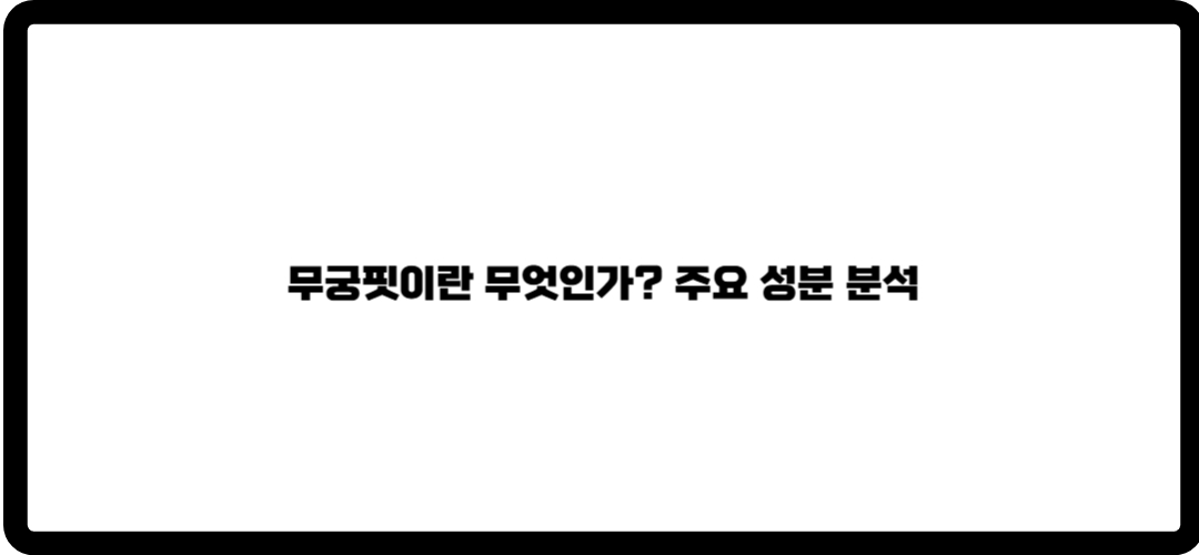무궁핏
