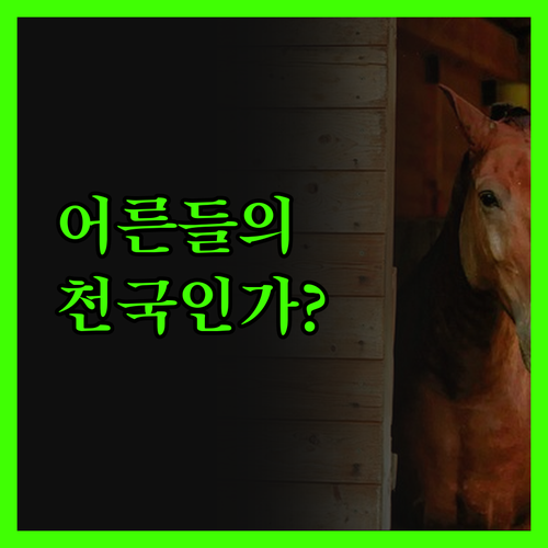 마나코르 '아이콘 발파라이소', 어른