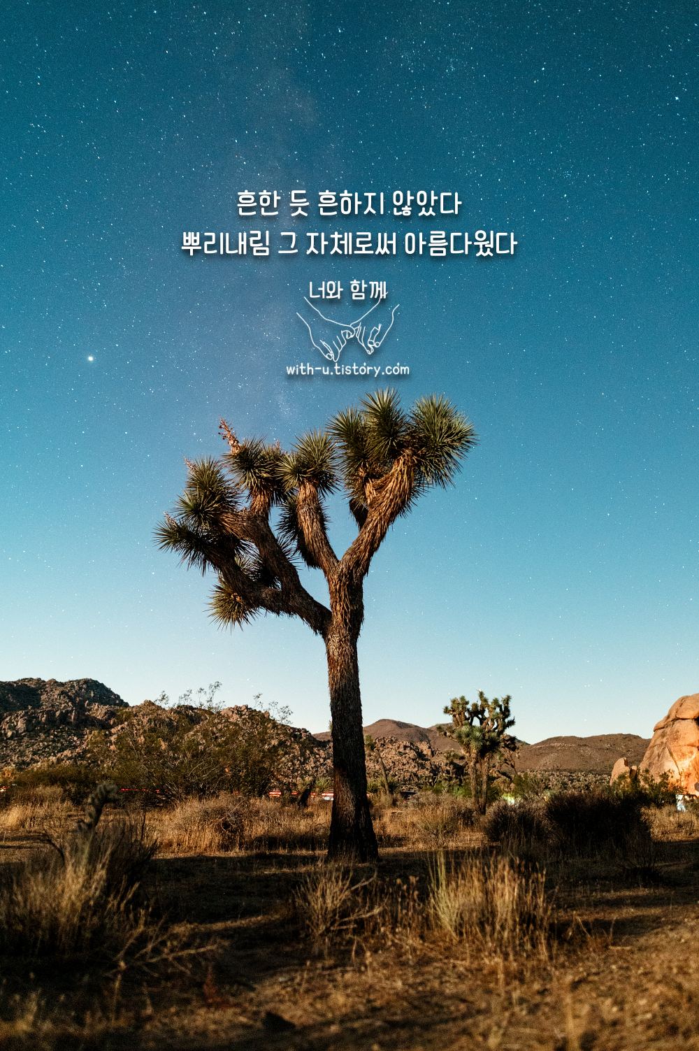  나무 명언 : 짧고 좋은 글귀 : 짧은 명언
