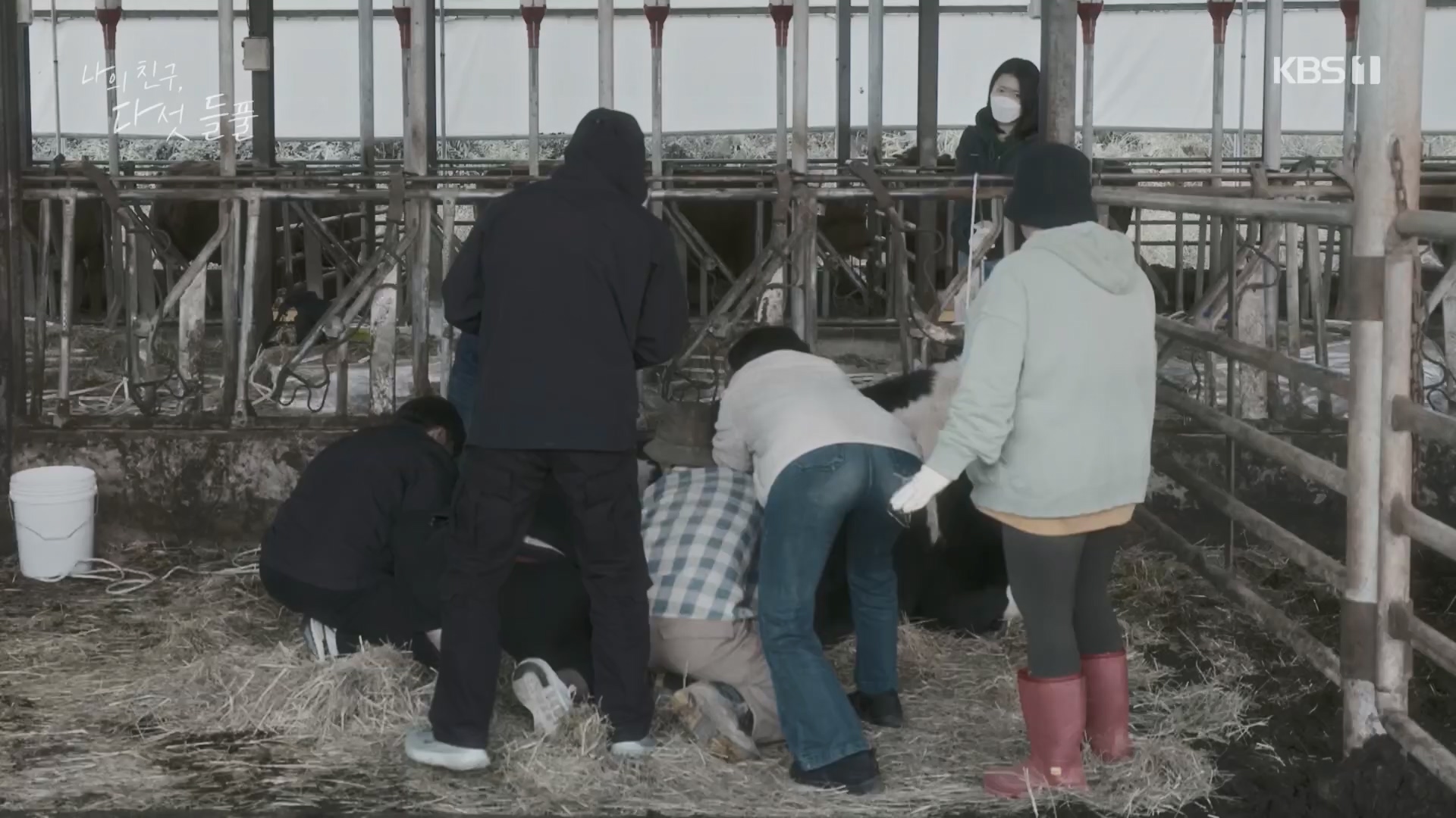 특집 다큐 나의 친구, 다섯 들풀.240119p.H264-F1RST.mp4_20240121_151735.503.jpg