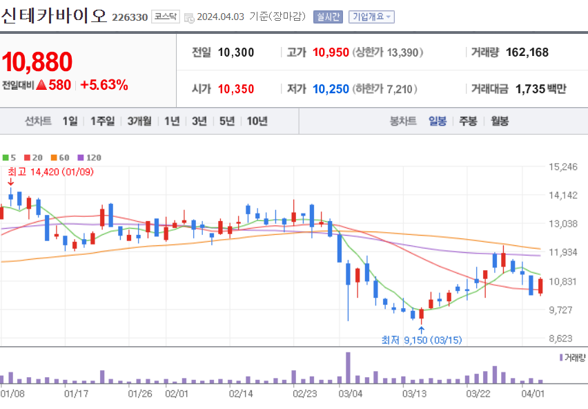 신테카바이오 주가