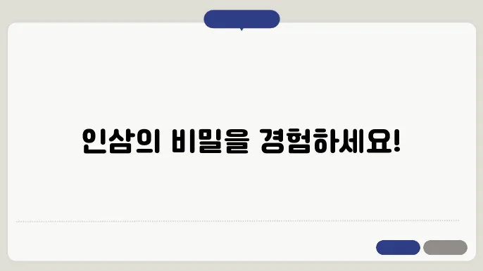 인삼 축제 공유