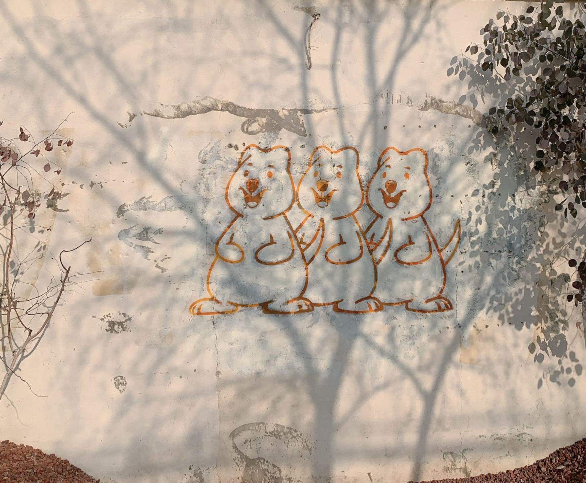 쿼피집 쿼카 벽화 포토존